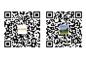 微信公众号